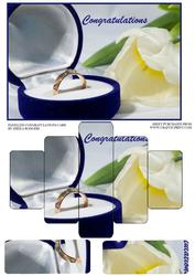 Panelled Congratulations Card