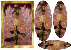 Yellow Rose Oval Pyramid