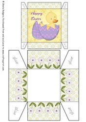 Easter Chick Gift Box