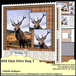 Glen Etive Stag 1
