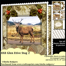 Glen Etive Stag 2