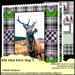 Glen Etive Stag 3