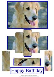 Panelled Retriever