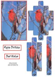 Panelled Red Bird