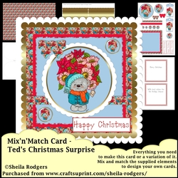 MixnMatch Card - Teds Christmas Surprise