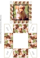 Gift Box - Labrador Puppy