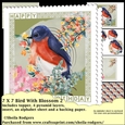 7X7 Bird With Blossom 2