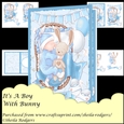 Its A Boy With Bunny