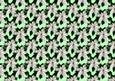 White Poinsettia on Green Background