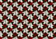 White Poinsettia on Red Background