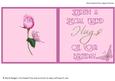 Special Friend - Roses and Butterflies - Insert