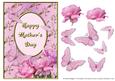 Pink Rose Corner with Butterflies - Mother's Day