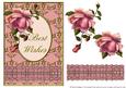 Blush Rose with Ruffle - Best Wishes