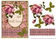 Blush Rose with Ruffle - Get Well Soon