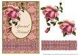 Blush Rose with Ruffle - Special Friend
