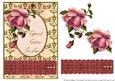 Blush Rose with Ruffle - Special Sister-in-law