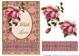 Blush Rose with Ruffle - with Love