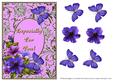 Petunia Corner - Especially for You!