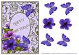 Petunia Corner - Happy Birthday