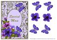 Petunia Corner - Special Mom