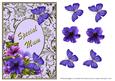 Petunia Corner - Special Mum