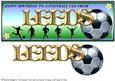 Football Fan from - Leeds