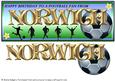 Football Fan from - Norwich