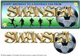 Football Fan from - Swansea