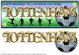 Football Fan from - Tottenham