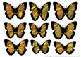 Butterfly 1 Embellishments 2