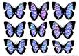 Butterfly 1 Embellishments 3