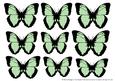 Butterfly 1 Embellishments 5