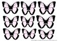 Butterfly 1 Embellishments 6