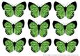 Butterfly 2 Embellishments 2