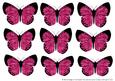 Butterfly 2 Embellishments 3