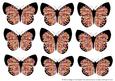 Butterfly 2 Embellishments 4