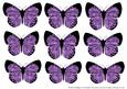 Butterfly 2 Embellishments 5