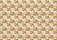 Perfume Bottles Backing Paper
