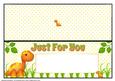 Just for You Dinosaurs Insert
