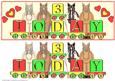 3 Today Horses