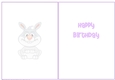 Happy Birthday - Little Rabbit Insert