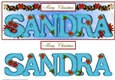 Large DL Poinsettia - SANDRA
