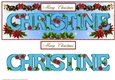 Large DL Poinsettia - CHRISTINE