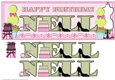SHOPAHOLIC NAMES - NELL