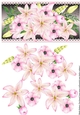 Pink Lilies and Peonies on Black
