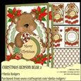 CHRISTMAS BENSON BEAR 2