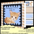 PET SYMPATHY CARD - GINGER CAT