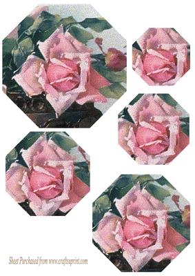 Octagon Rose Pyramage