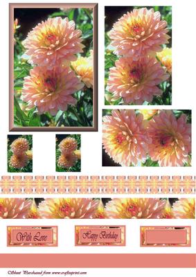 Flower Sheet 1