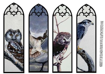 Birds of Prey Bookmarks